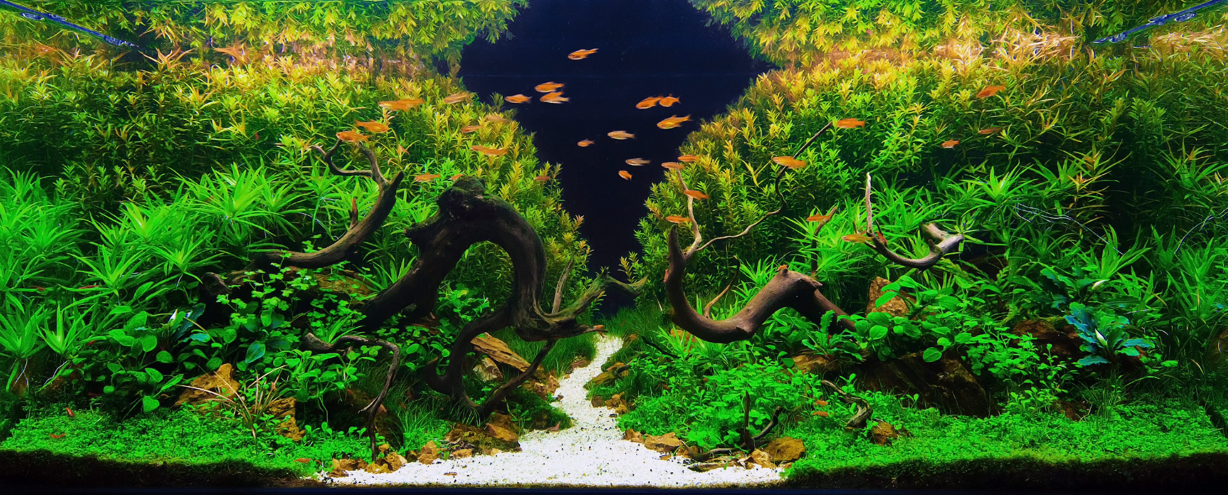 Product category - AQUASCAPING