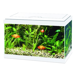 Ciano Aqua 20 Aquarium With LED Light - White 17L