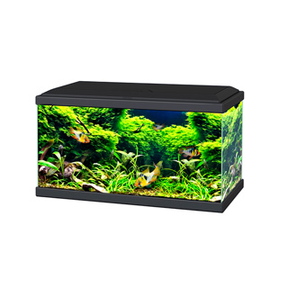 Ciano Aquarium 60 LED - Black 58L *New packaging*