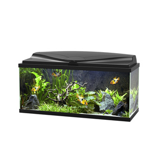 Ciano Aquarium 80 LED - Black