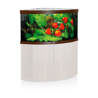 Juwel Trigon 350 LED Aquarium - Dark Wood