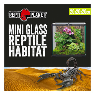 Repti Planet Mini Glass Habitat 20cm x20cm x20cm