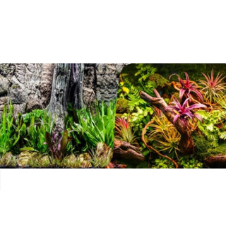Betta Trunk / Plants Background 60cm 15m Roll