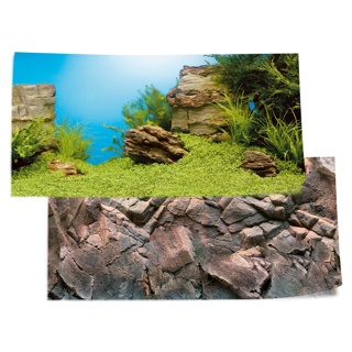 Juwel Poster 1 Plant/Reef Background - Small
