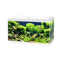 Ciano Aquarium 60 LED - White 58L *New packaging*