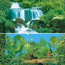 Betta Waterfall /Plants Background 60cm High 15m