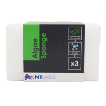 NT Labs ProCare Algae Sponge 3pcs