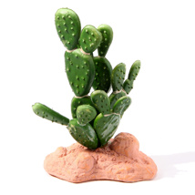 Betta Terra Cactus 15cm