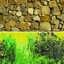 Betta Stone Wall / Plants Background 60cm High 15m