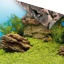 Juwel Poster 1 Plant/Reef Background - Small